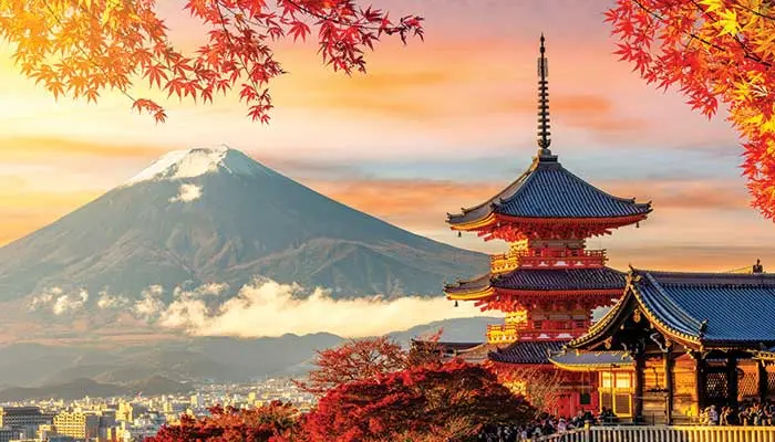 Top 5 Destinations to Visit in Japan this Autumn